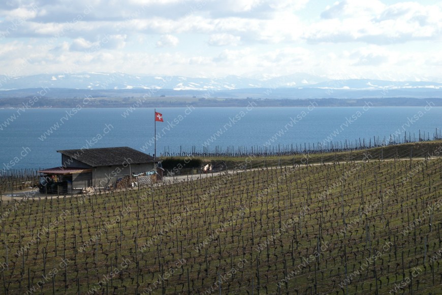 Bâtiment Appartement de 3 pièces, 63 m2, à Auvernier