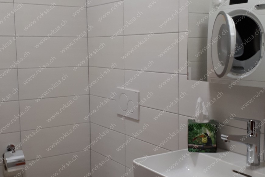 Appartement de 5.5 pièces, 164 m2, à Fenin - WC séparé 