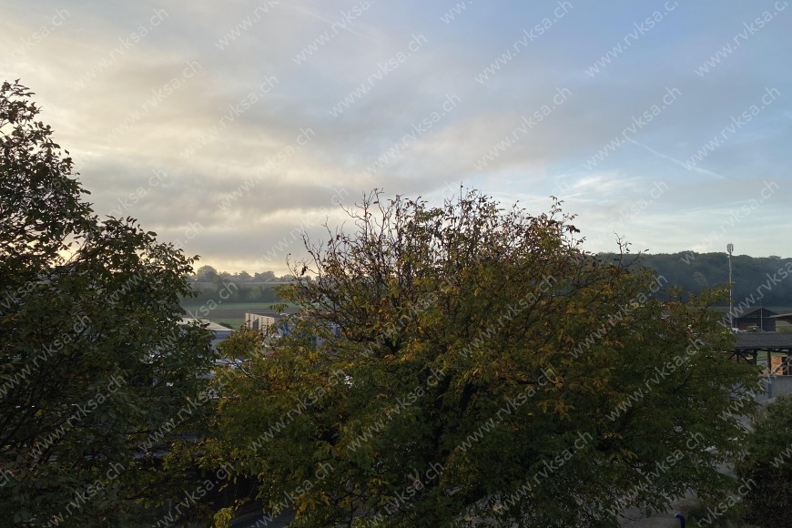 Appartement de 3 pièces, 64 m2, à Cornaux - Vue 
