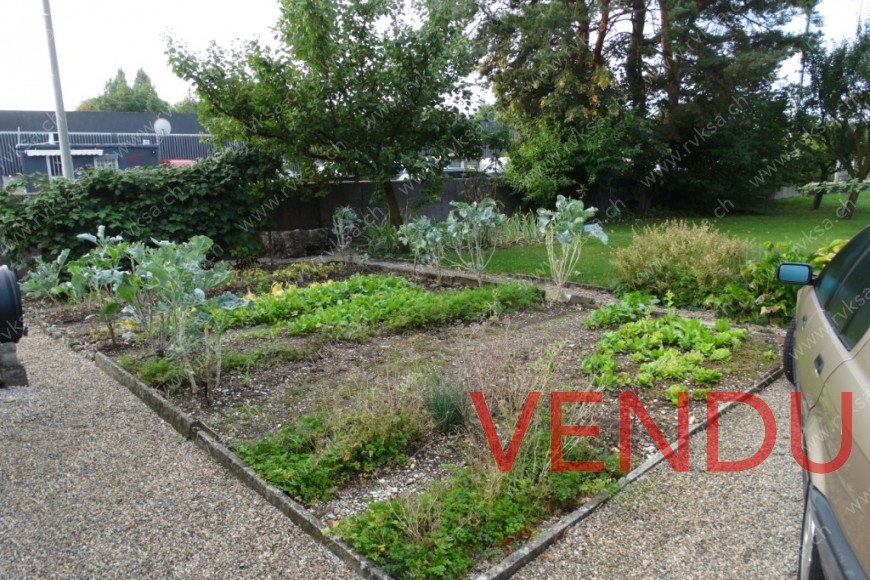 Jardin potager