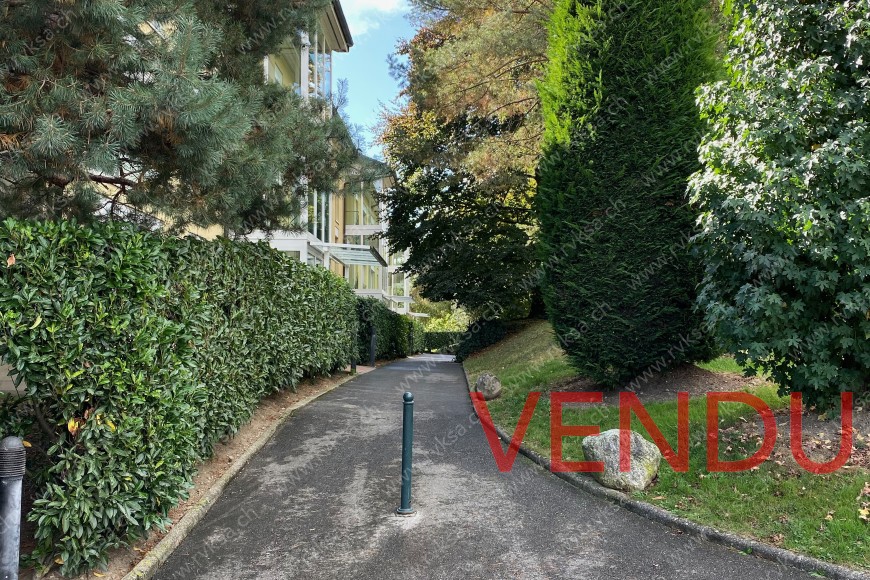 Accès piéton à l'immeuble (peu de pente)