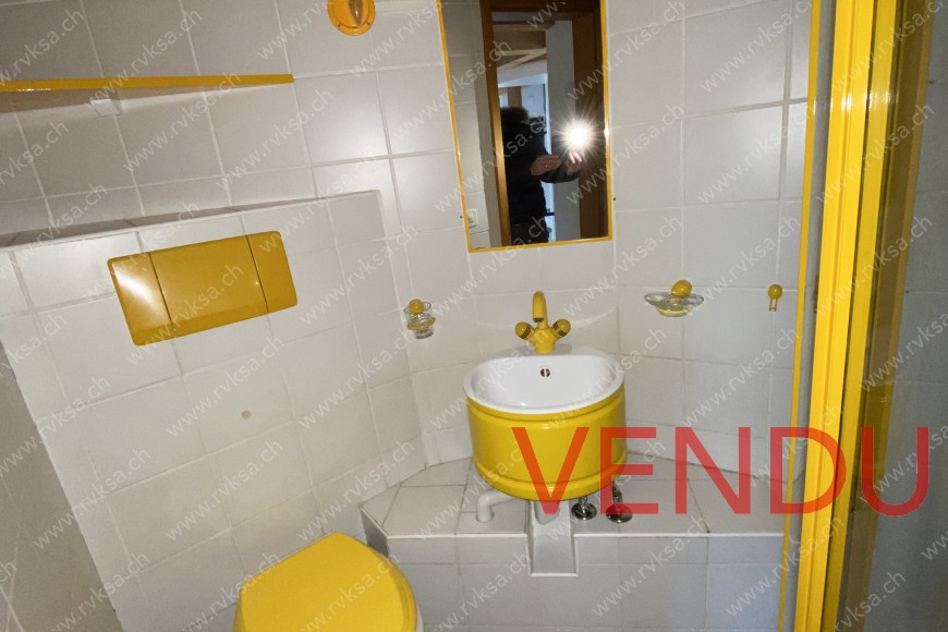 Rez-de-jardin - Salle de douche - Lavabo - WC