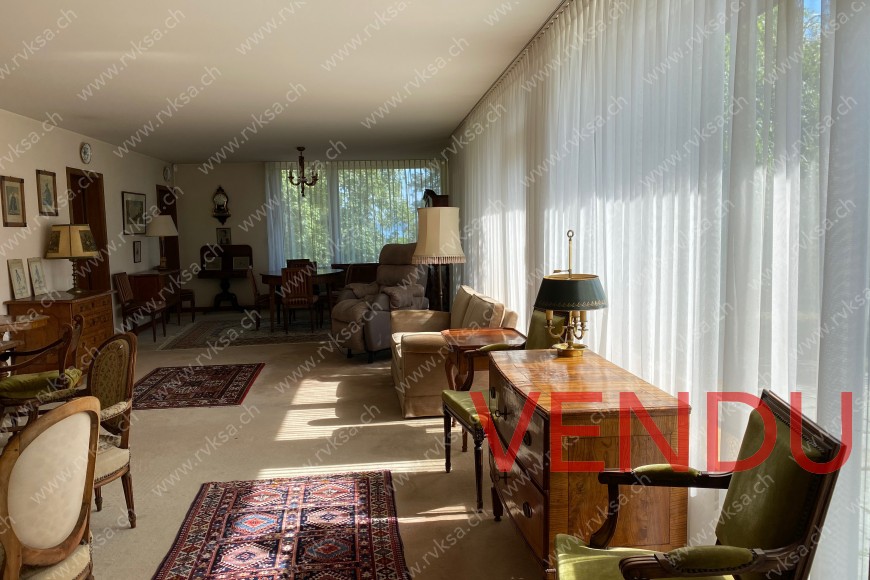 Salon - vue Nord sur Sud