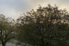 Appartement de 3 pièces, 64 m2, à Cornaux - Vue 
